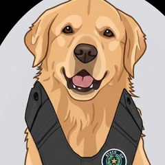Scout, the CAPPS help assistant